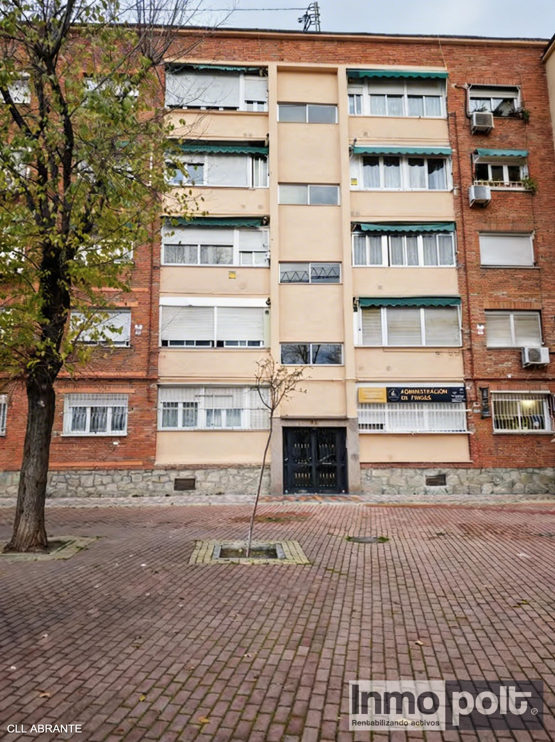 50090_CLL ABRANTE (10).jpg